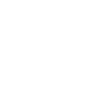 Software Developer