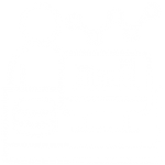 Data Scientist
